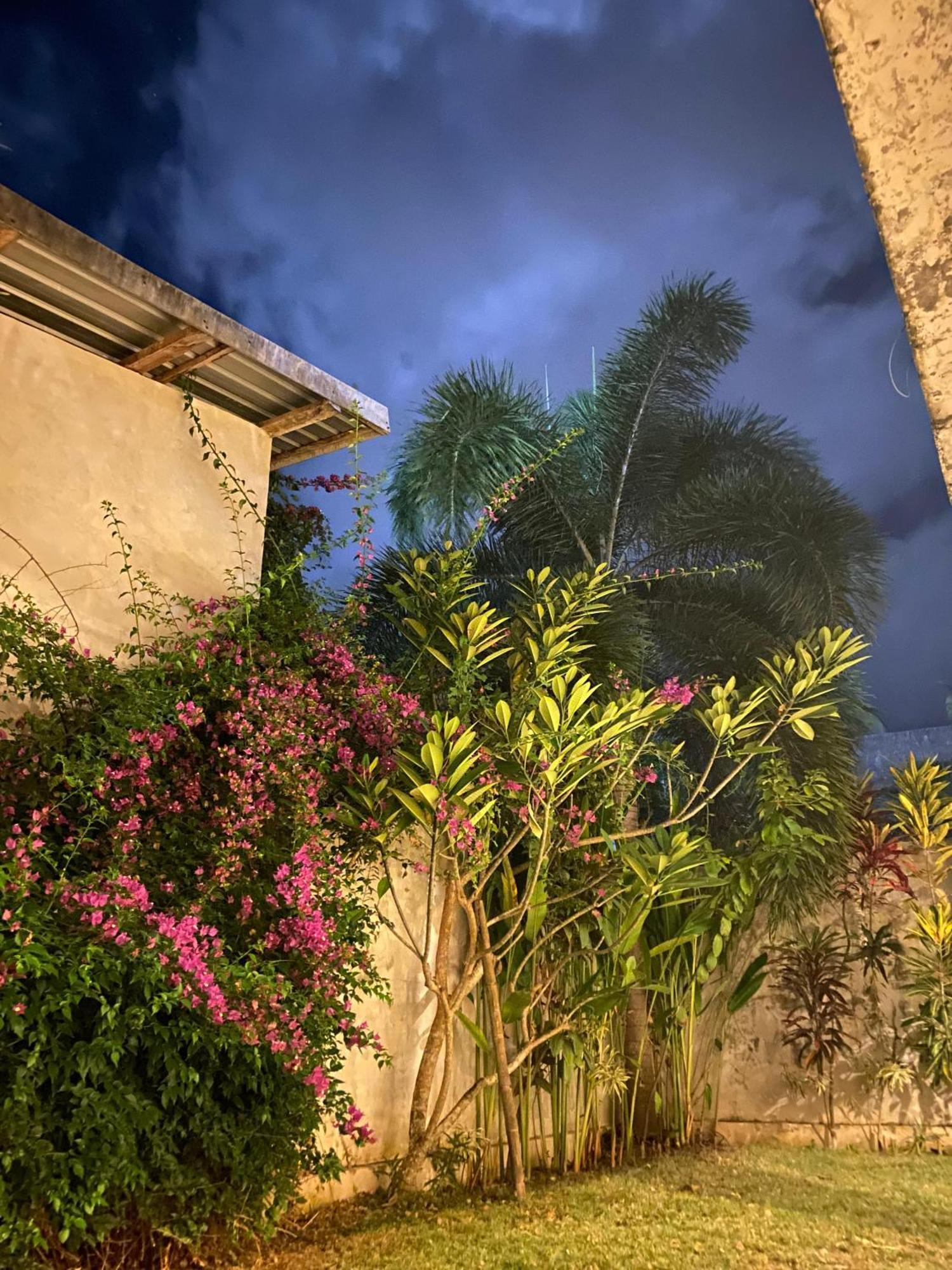 Palm Green Hotel Kuta  Εξωτερικό φωτογραφία